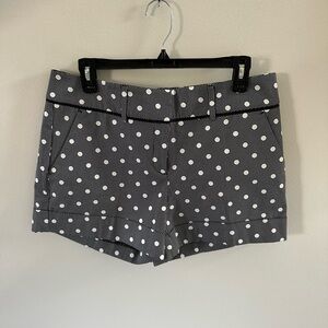 7th Avenue Design Studio Black with White Polka Dot Shorts Woman’s Size 8